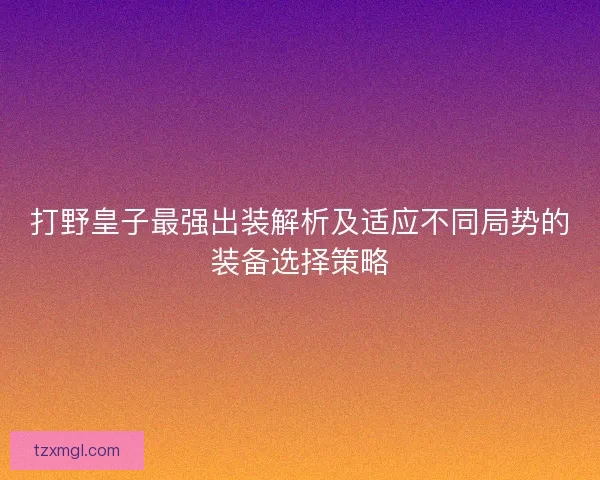 打野皇子最强出装解析及适应不同局势的装备选择策略