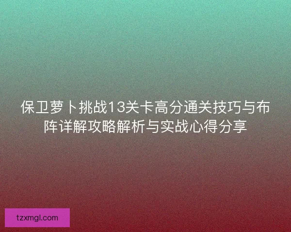 保卫萝卜挑战13关卡高分通关技巧与布阵详解攻略解析与实战心得分享